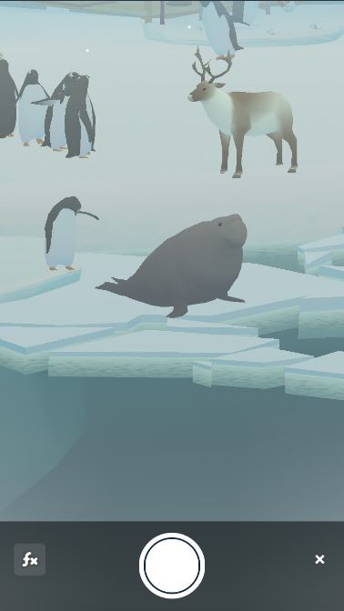 ペンギンの島10